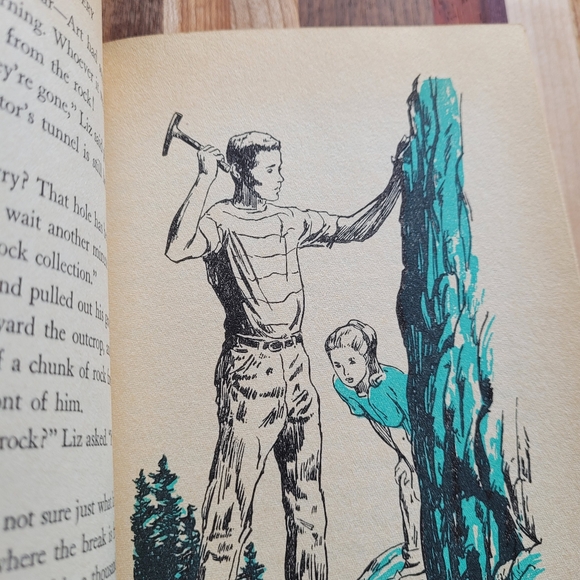 The Forest Fire Mystery by Troy Nesbit / 1962 / Vintage Children's Book - Picture 7 of 8